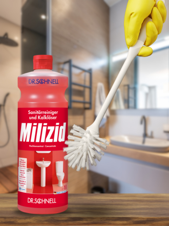 Sanitary, salle de bain et nettoyeur de toilettes