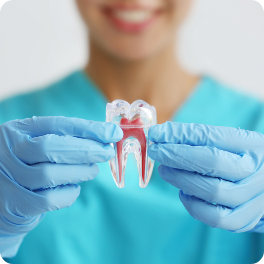 Person in blauem Kittel und blauen Handschuhen, die ein durchsichtiges, zahnförmiges Modell hält. Das Gesicht der Person ist unscharf und sie lächelt. Der Hintergrund ist schlicht und hell.