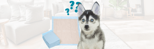 Pflegehilfsmittel trifft auf Haustierbedarf: Krankenunterlagen für Hundewelpen