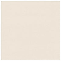 Eine quadratische, cremefarbene, dezent strukturierte Serviette, wie die PAPSTAR 50 Servietten "ROYAL Collection" 1/4-Falz 40 x 40 cm champagner der PAPSTAR GmbH, steht gleichmäßig beleuchtet und zentriert auf einem schlichten weißen Untergrund.