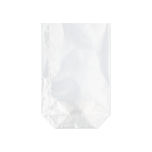 Le sac Starpak 300 en PP transparent se tient debout avec un fond plat devant un fond blanc.