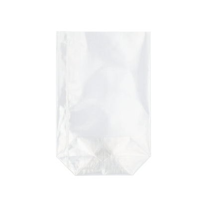 Le sac Starpak 300 en PP transparent se tient debout avec un fond plat devant un fond blanc.