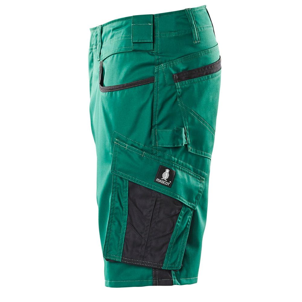 Shorts, geringes Gewicht Shorts, grün/schwarz