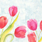 Eine Aquarellillustration von sechs rosa und roten Tulpen mit grünen Blättern auf blauem, strukturiertem Hintergrund ziert die Duni GmbH Servietten 40x40 cm 3lagig, 1/4-Falz, Gemalte Tulpen (250 Stück). "DAWN" steht auf einem kleinen runden Etikett unten rechts.