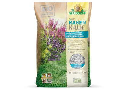 Tilleul de jardin Azet