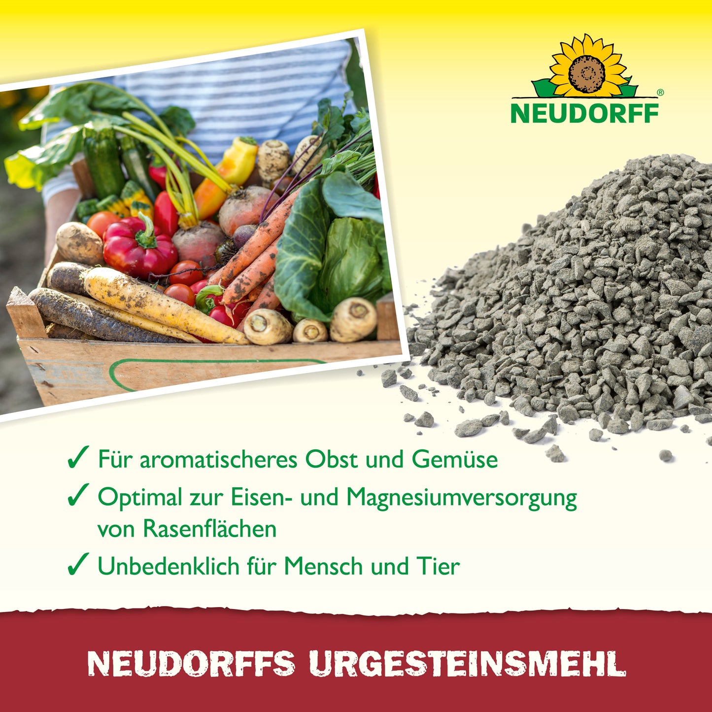 Ein Haufen graues Neudorffs UrgesteinsMehl liegt neben einer Holzkiste mit gemischtem Gemüse. Ein deutscher Text hebt seine Vorteile für die Bodenfruchtbarkeit hervor, und das Logo des Neudorff Shops erscheint in der oberen rechten Ecke.
