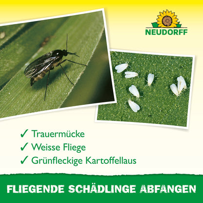 Gros plan d'un moustique noir et de minuscules mouches blanches sur une feuille, aidant à identifier les nuisibles tels que les mouches des terreaux, les mouches blanches et les pucerons verts. En haut, le logo du Neudorff Shop avec une mention du Gelb-Aufkleber pour plantes d'intérieur.