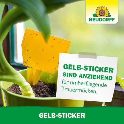 Un Gelb-Sticker de Neudorff Shop, couvert de petits insectes volants, est placé dans une plante d'intérieur près d'une fenêtre. Sur une étiquette à côté du pot est écrit : "Les Gelb-Stickers attirent les mouches des terreaux volantes."