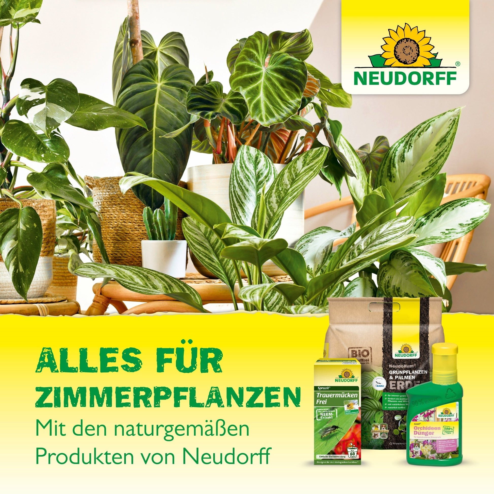 Plusieurs plantes d'intérieur en pot sont posées sur une table à côté des produits du Neudorff Shop, y compris de la nourriture pour plantes, de la terre et des Gelb-Aufkleber. L'arrière-plan lumineux montre l'inscription Neudorff Shop et un texte allemand faisant la promotion des soins des plantes.