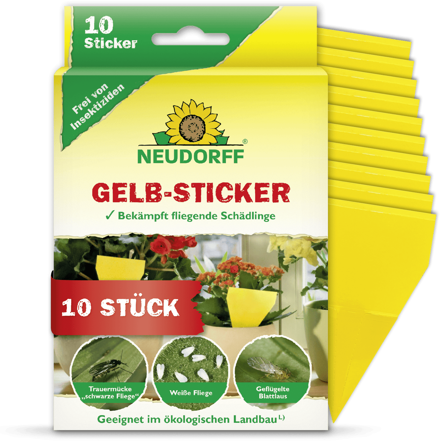 Un paquet de Neudorff Shop Gelb-Sticker contient 10 pièges collants jaunes pour plantes d'intérieur, indiqués sur le devant comme efficaces contre les mouches des terreaux dans les plantes en pot, avec des instructions en allemand.