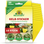 Un paquet de Neudorff Shop Gelb-Sticker contient 10 pièges collants jaunes pour plantes d'intérieur, indiqués sur le devant comme efficaces contre les mouches des terreaux dans les plantes en pot, avec des instructions en allemand.