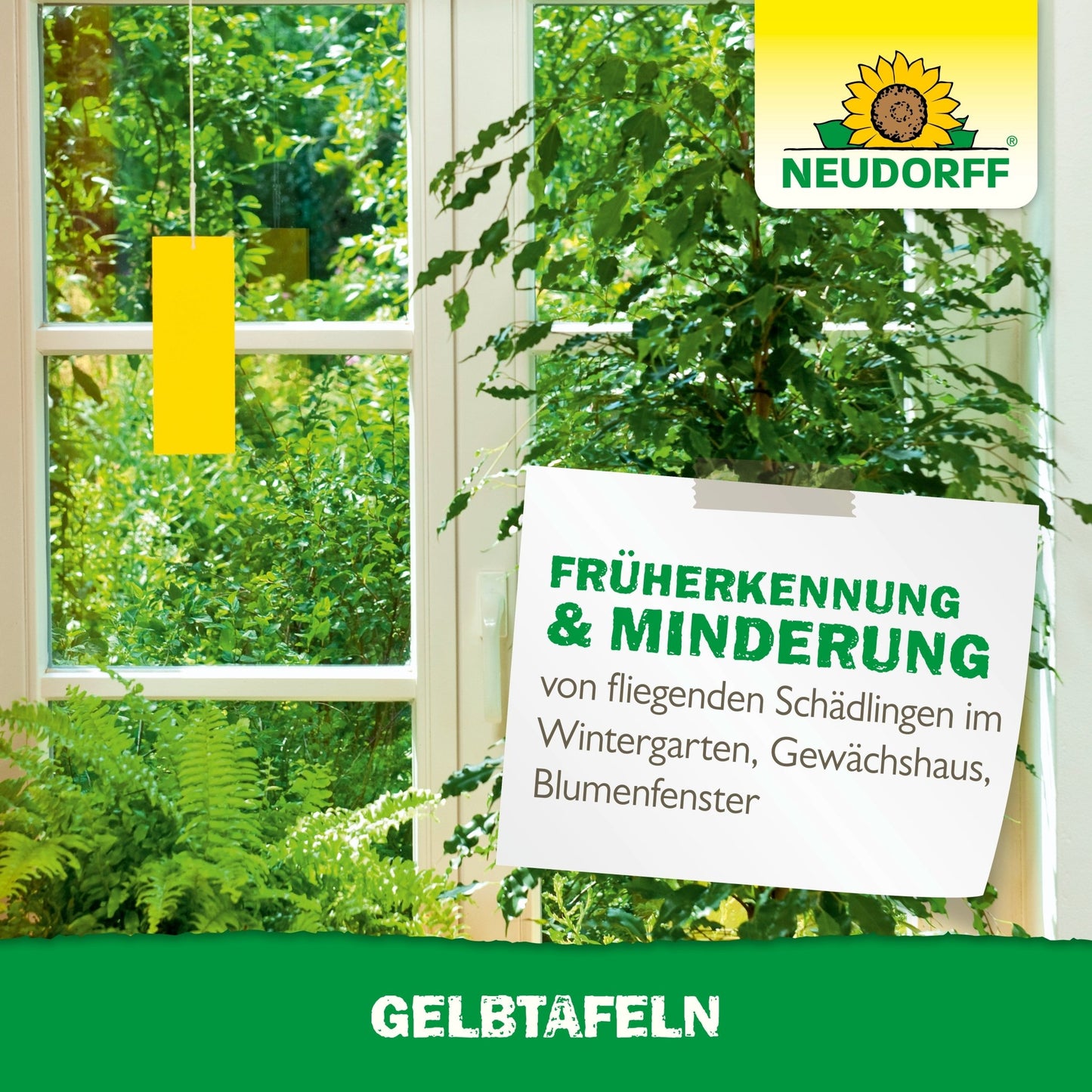 Une pièce lumineuse avec de grandes fenêtres, des plantes vertes et un piège collant jaune du Neudorff Shop Plaques Jaunes (format réduit). Un panneau fait la promotion de la détection précoce et de la réduction des nuisibles volants des plantes comme les moucherons et les mouches blanches. Le logo Neudorff est visible.