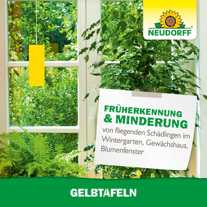 Une pièce lumineuse avec de grandes fenêtres, des plantes vertes et un piège collant jaune du Neudorff Shop Plaques Jaunes (format réduit). Un panneau fait la promotion de la détection précoce et de la réduction des nuisibles volants des plantes comme les moucherons et les mouches blanches. Le logo Neudorff est visible.