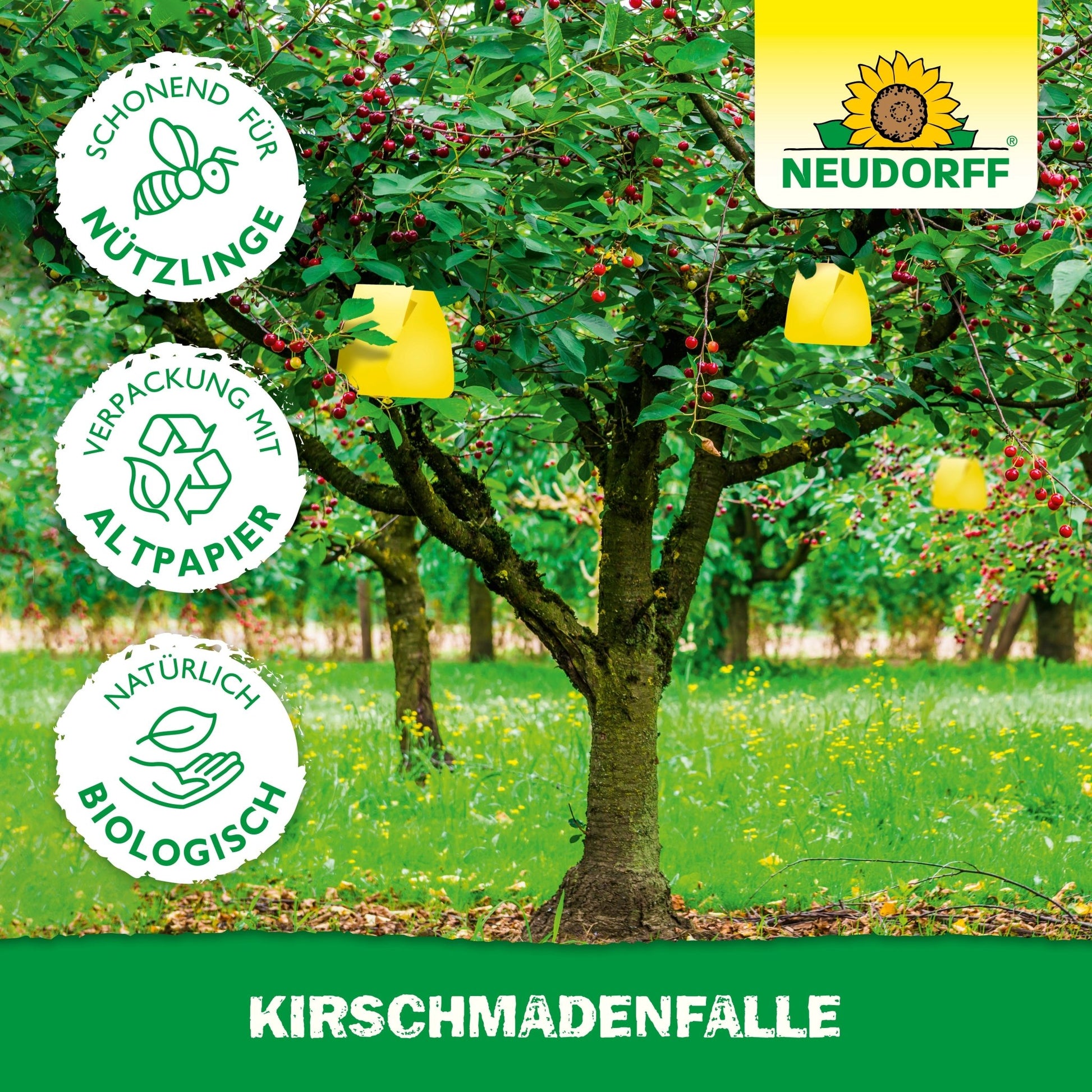 Un cerisier avec un piège à cerises jaune de Neudorff Shop protège votre récolte de cerises contre les mouches des fruits. Trois icônes montrent : respectueux des auxiliaires, emballage en papier recyclé et naturellement bio. En haut à droite, le logo Neudorff.