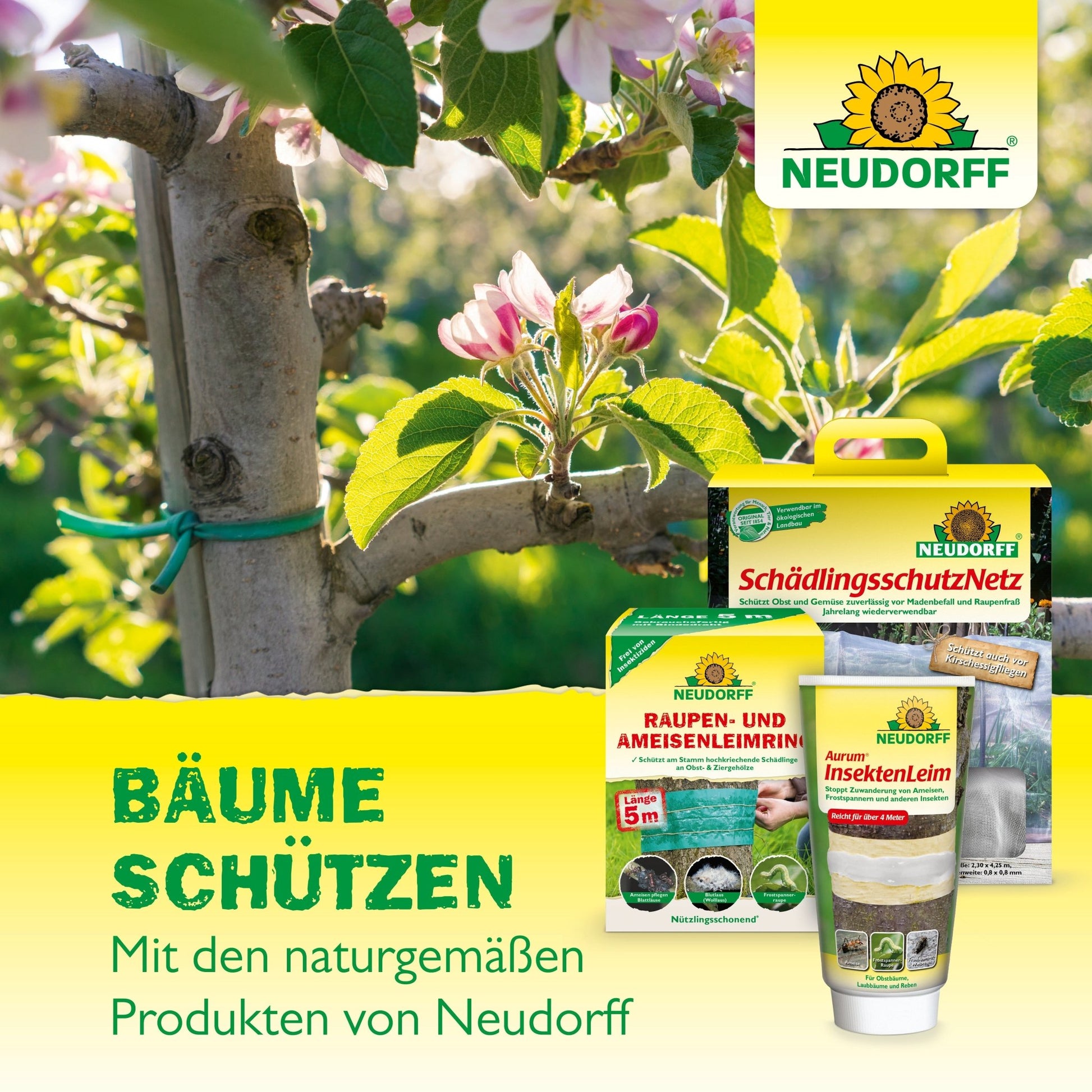 Une branche attachée avec une ficelle verte sous des fleurs, des cerises mûrissantes ; au premier plan le piège à cerises de Neudorff Shop pour une protection naturelle des cerises et au-dessus le logo ; le texte allemand souligne l'entretien des arbres et la récolte des cerises.