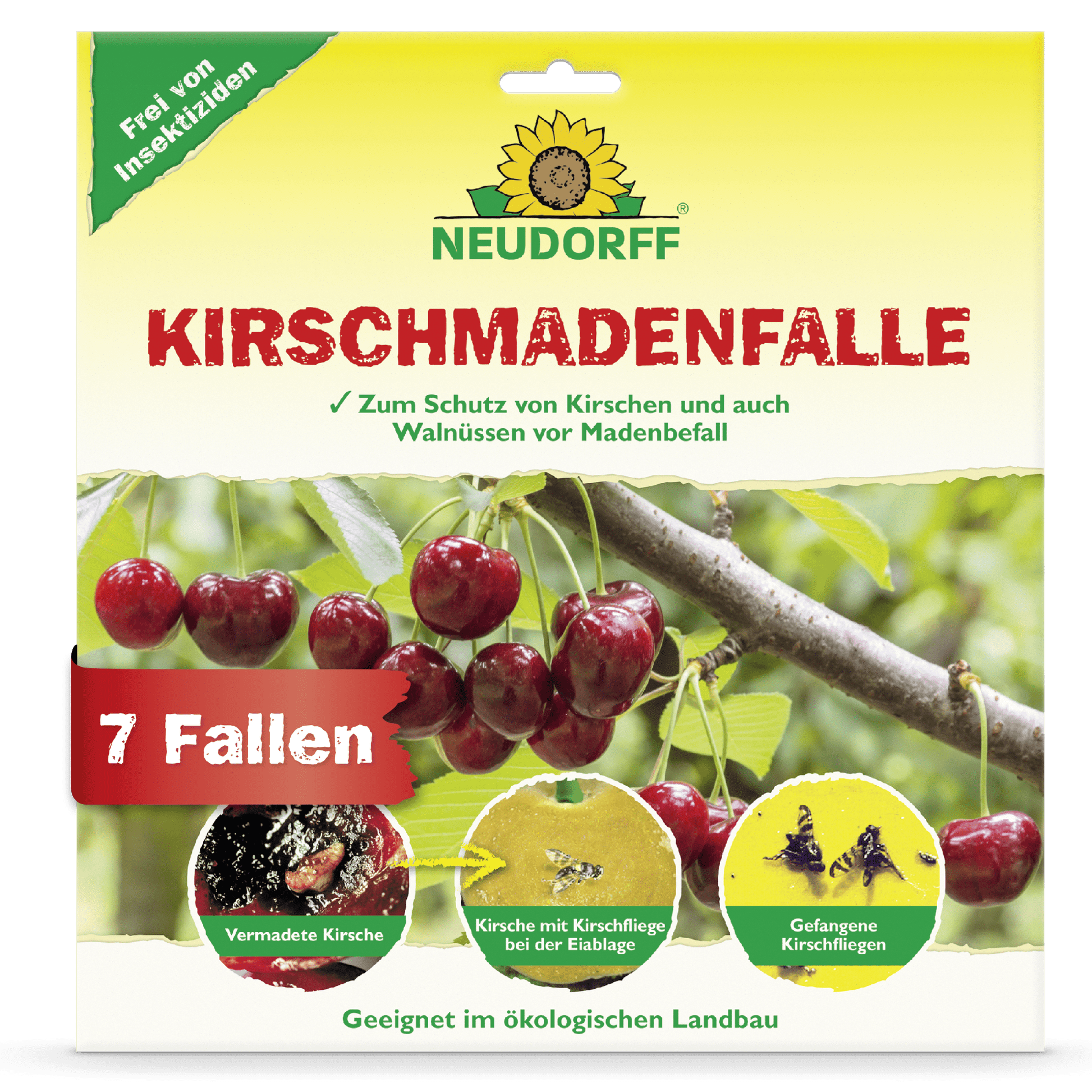Le devant d'un piège à cerises Neudorff Shop montre des cerises mûres, des gros plans de dommages causés par la mouche de la cerise, des asticots et des mouches capturés. Le texte souligne l'aptitude pour la récolte de cerises bio et que l'emballage contient 7 pièges.
