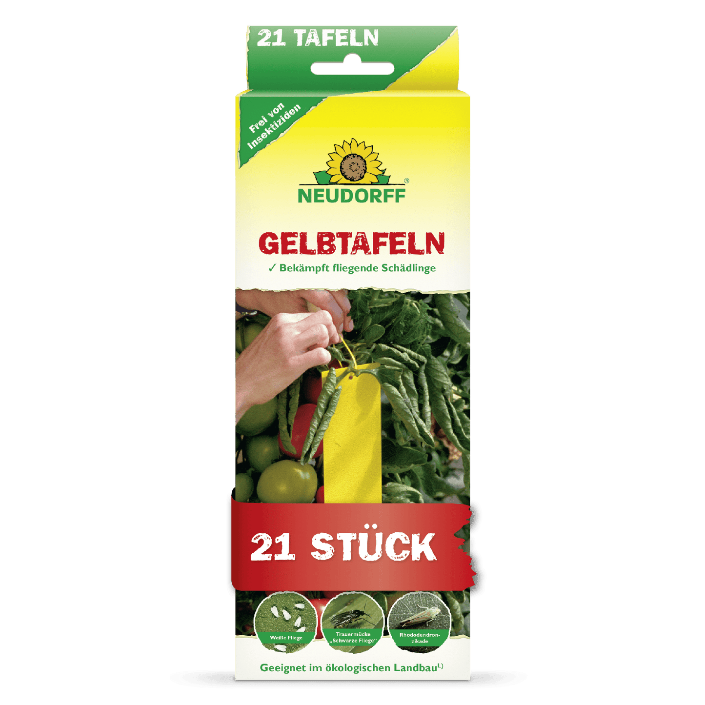 Une boîte rectangulaire de Neudorff Shop Plaques Jaunes (format réduit) montre une main plaçant un piège collant jaune entre des tomates. Le paquet de 21 pièces contrôle les mouches blanches et les moucherons et est adapté à l'agriculture biologique.
