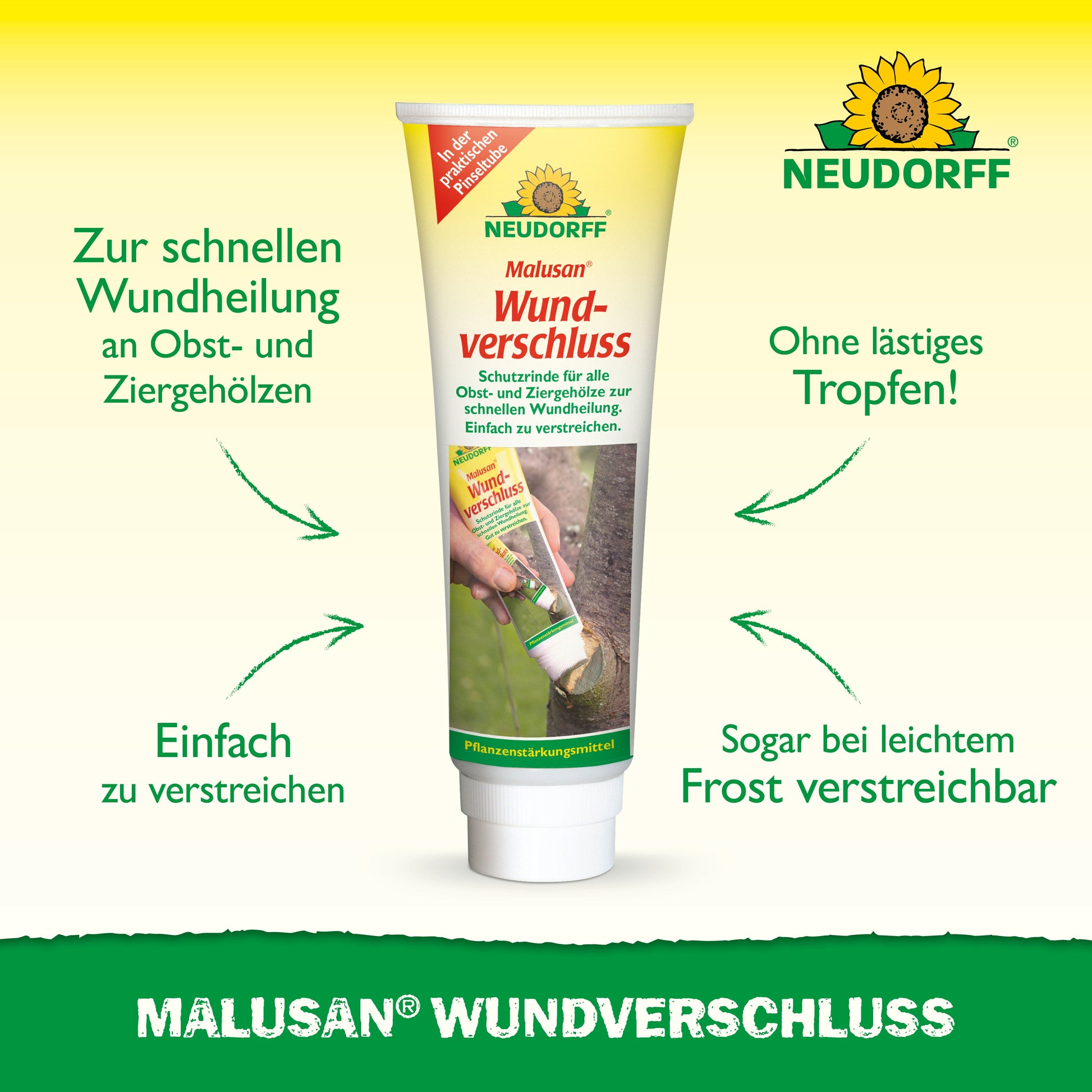 Eine Tube Malusan Wundverschluss von Neudorff Shop steht aufrecht auf einer weißen Fläche und ist mit grünen und gelben Grafiken versehen. Der deutsche Text hebt die schnelle Heilung von Schnittwunden Gehölze nach Rückschnitt und die einfache Anwendung hervor.