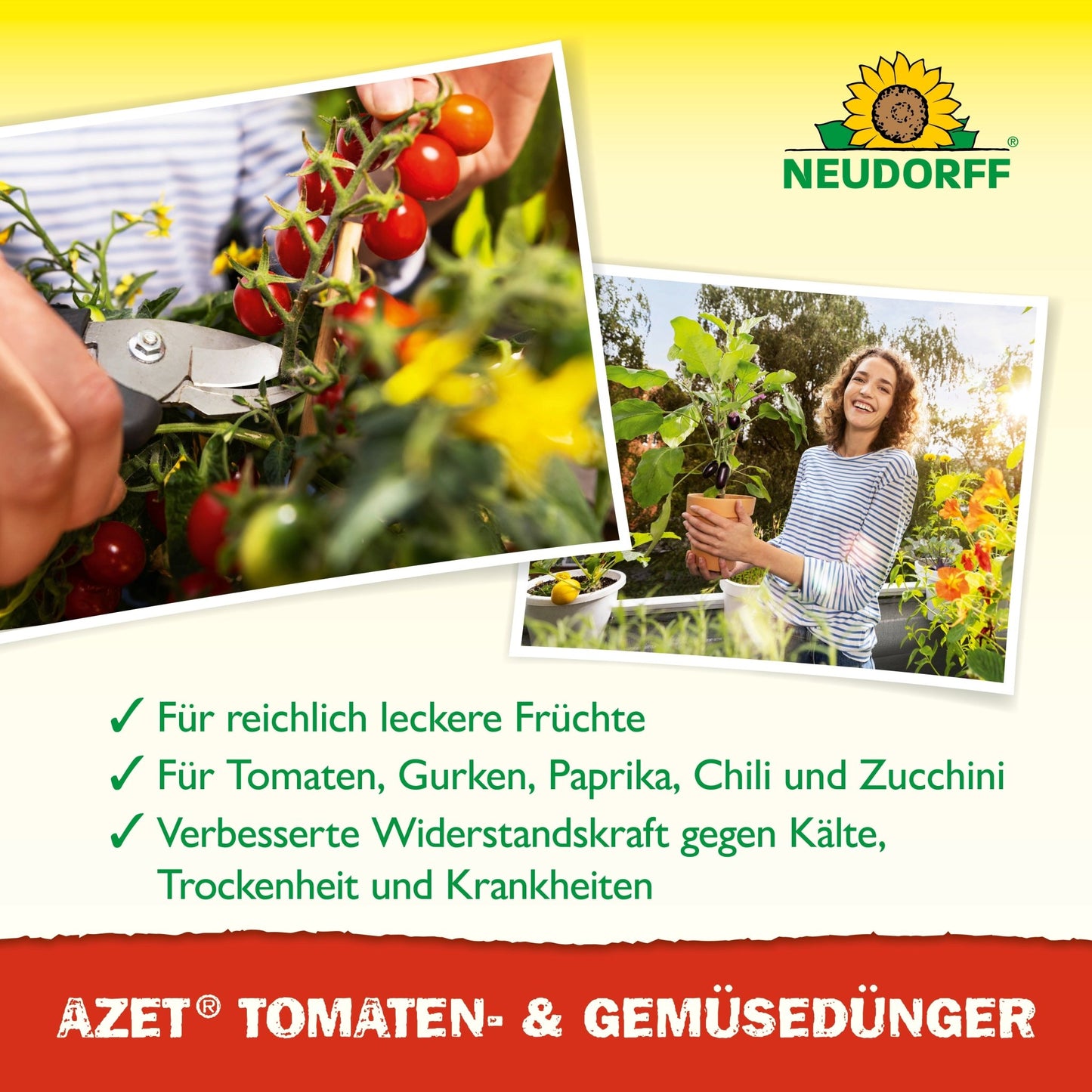 Eine Person schneidet reife Kirschtomaten mit einer Schere von einer Pflanze ab; ein anderes Bild zeigt jemanden, der eine Balkon-Gemüse-Tomatenpflanze hält. Der Text hebt die Vorteile der Azet Tomaten- & GemüseDünger flüssig von Neudorff Shop hervor.