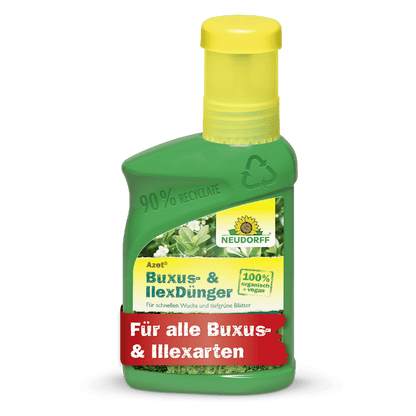 Eine grüne Plastikflasche Azet Buxus- & IlexDünger flüssig von Neudorff Shop, 100% organischer Pflanzendünger für Buchsbaum, Ilex und andere immergrüne Pflanzen; hergestellt aus 90% recyceltem Material und mit einer gelben Kappe versehen.