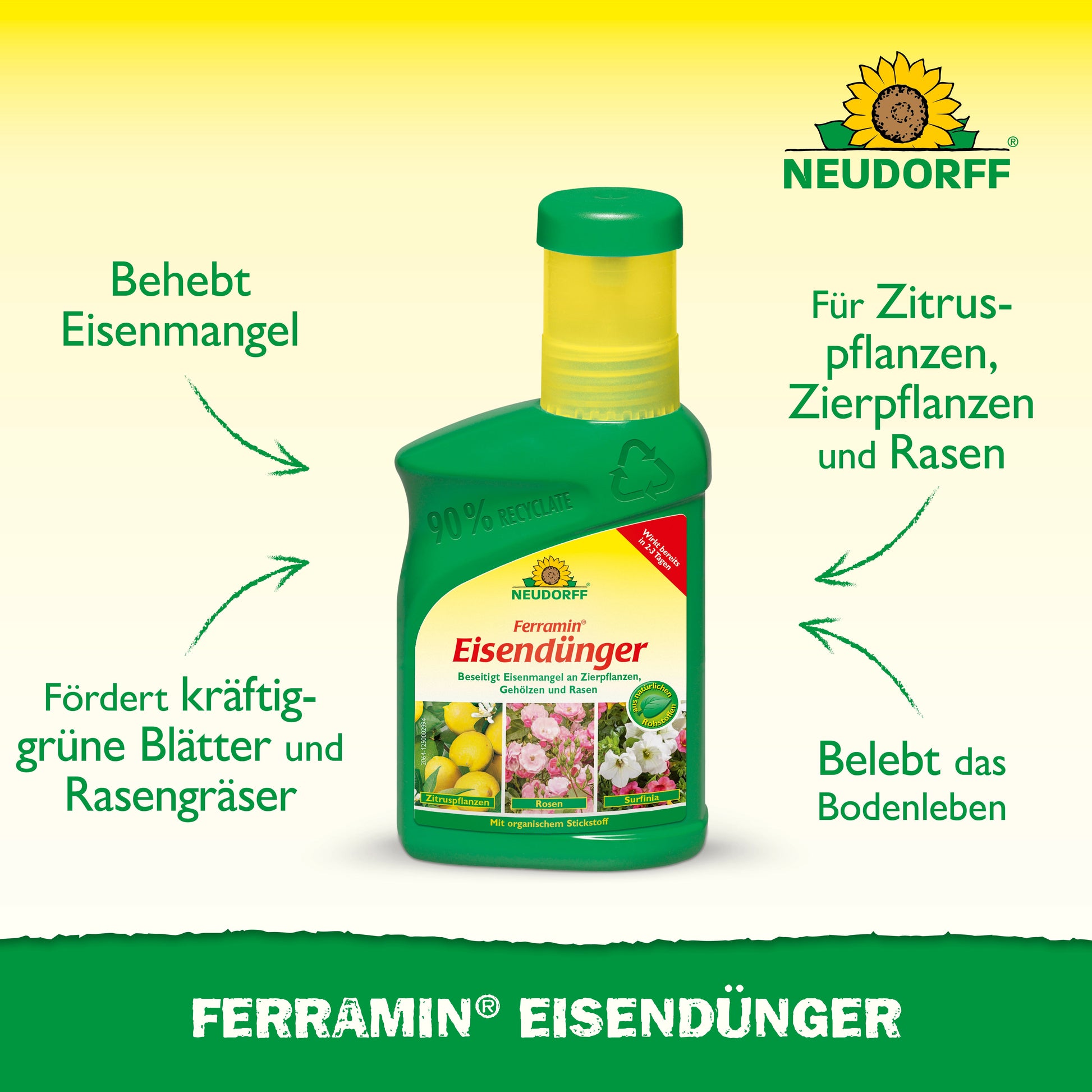 Eine grüne Flasche Neudorff Shop Ferramin Eisendünger steht aufrecht, mit einem Text, der die Vorteile hervorhebt: Korrektur von Eisen- und Stickstoffmangel, Förderung von üppig grünem Rasen und Blättern und Revitalisierung des Bodens für verschiedene Pflanzen.