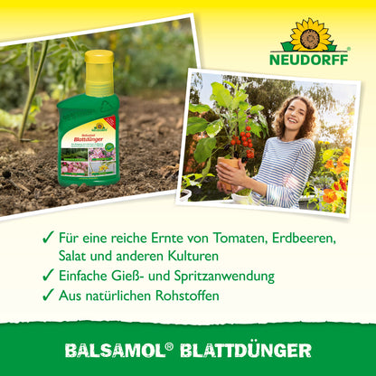 Eine Flasche Balsamol Blattdünger aus dem Neudorff Shop ist neben einer lächelnden Frau mit einer Tomatenpflanze abgebildet. Der Text stellt die natürlichen Inhaltsstoffe und die Vorteile für Nadelgehölze und andere Pflanzen auf gelb-grünem Hintergrund vor.