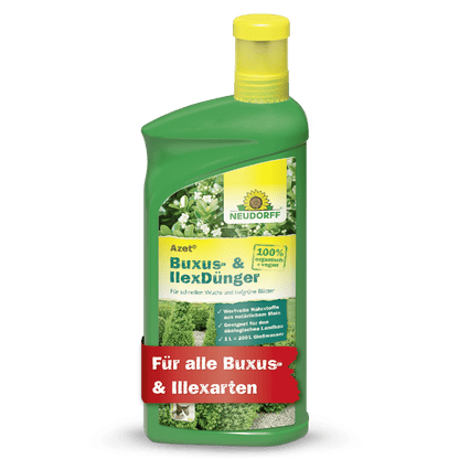 Neudorff Shop Azet Buxus- & IlexDünger flüssig Flasche aus grünem Kunststoff mit gelbem Deckel, ideal für immergrüne Kübelpflanzen. Auf dem Etikett sind Grünpflanzen und ein roter Schriftzug abgebildet: "Für alle Buxus- & Ilexarten.