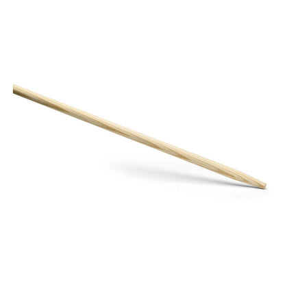 Le manche d'appareil Nölle Profi Brush 28x1.800 mm de Nölle Profi Brush Bürsten- & Pinseltechnik e.K., avec une pointe pointue et incliné sur fond blanc, est idéal pour le nettoyage des bâtiments et convient à divers appareils de nettoyage.