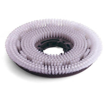 Numatic Nylon-Scheuerbürste