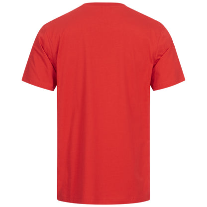 NITRAS MOTION TEX LIGHT T-Shirt UV-Schutz OEKO-TEX Gr. XS-6XL, verschiedene Farben | Packung (1 Stück)