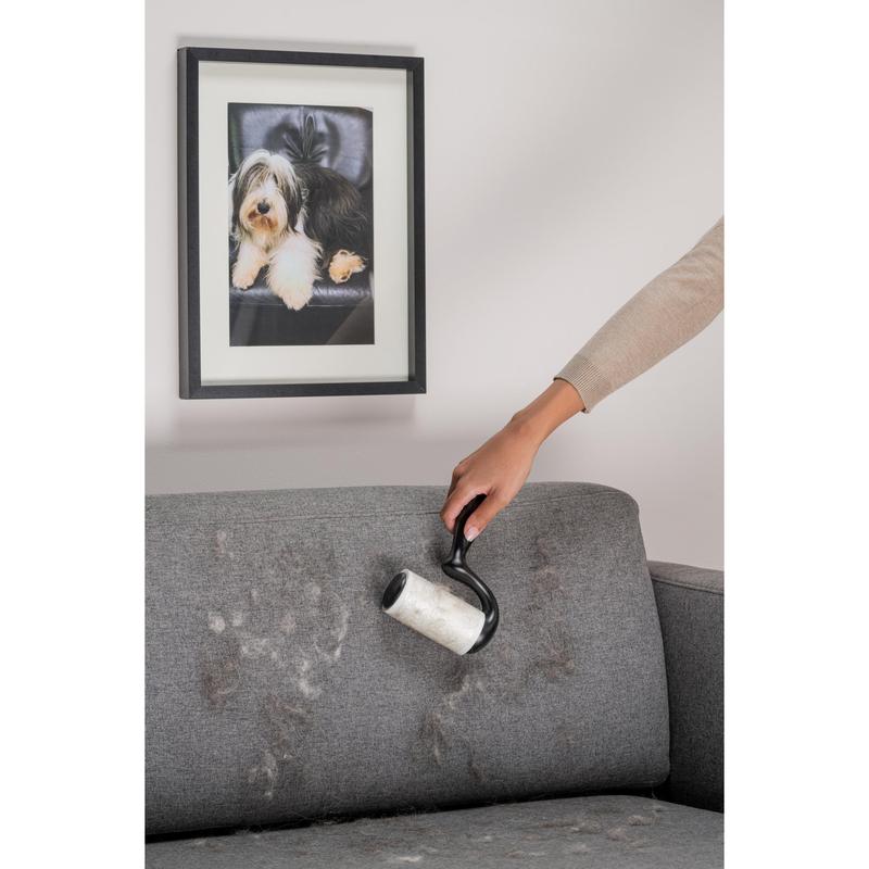 Mit dem Scotch-Brite™ Everyday Clean Fusselroller für flache Oberflächen (56 Blatt, 1/Packung) von 3M Deutschland GmbH entfernt jemand Tierhaare von einem grauen Stoffsofa unter einem Foto eines Hundes.