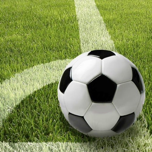 Ein schwarz-weißer Fußball sitzt auf grünem Rasen an einer weißen Linie - ideal für eine sportliche Tischdekoration mit PAPSTAR 20 Servietten, 33x33cm, 3-lagig, 4er Set von PAPSTAR GmbH bei Ihrer nächsten Veranstaltung.