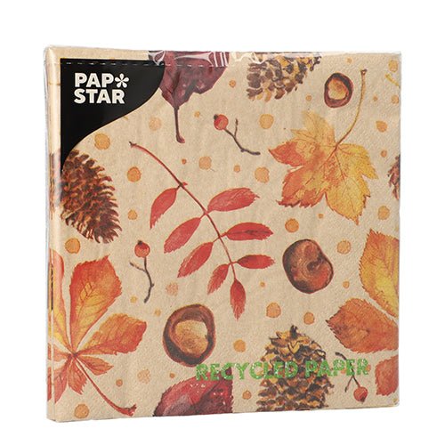 Un paquet PAPSTAR 20 serviettes, 33x33 cm, 3 couches, naturel, avec un motif de feuilles d'automne et de glands. Avec l'étiquette noire "PAP STAR" en haut à gauche de l'emballage. De PAPSTAR GmbH. Fabriqué à partir de papier recyclé.