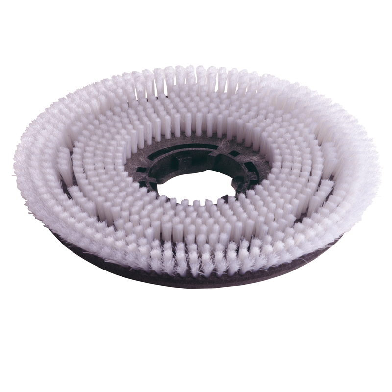 Numatic 2 x Nylon-Scheuerbürste 220 mm (NUC244NX/TTB420) | Packung (1 Stück)