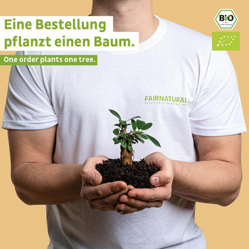 Poudre de protéine vegan bio vanille sans soja