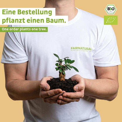 Bio Mushroom Kakao Pulver