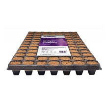 Der Plagron NextGen Growplug von Bertels B.V. verfügt über 84 mit Erde gefüllte Fächer, die mit Kokosfasern für eine bessere Wurzelbildung angereichert sind. Er hat ein Gitterdesign, das sich ideal zum Pflanzen eignet, und ist auf der Oberfläche mit einem auffälligen Produktinformationsetikett versehen.