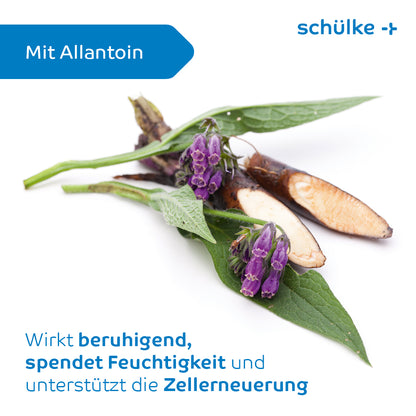 Une image de parties de plantes de consoude, y compris des feuilles, des racines et des fleurs violettes, sur un fond blanc. Le texte est en allemand et indique que la Schülke Esemtan® lotion lavante de Schülke & Mayr GmbH contient de l'allantoïne et offre des effets apaisants et hydratants pour un usage quotidien et soutient le renouvellement cellulaire.